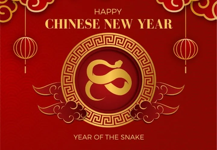 Lunar New Year Lunar New Year