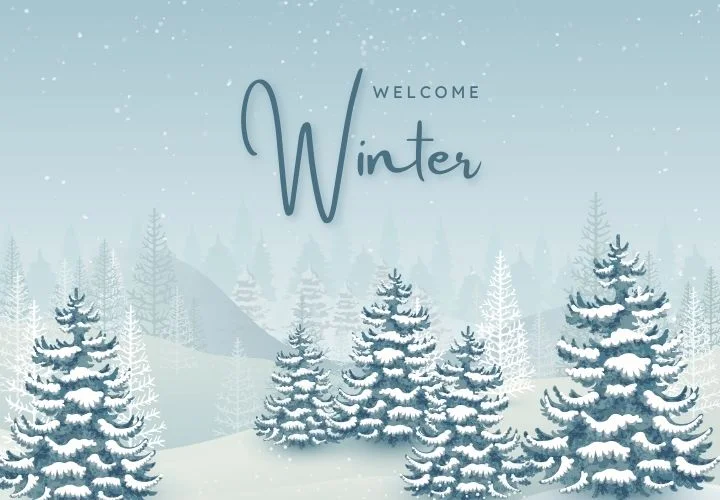 Winter Solstice Winter Solstice