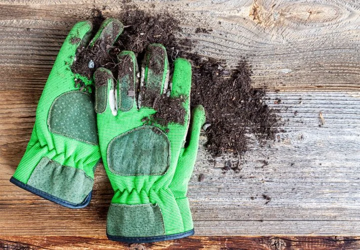 Garden Gloves