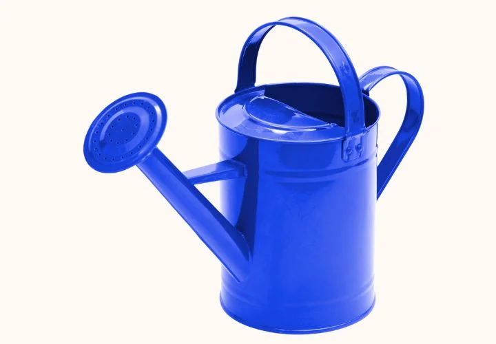 Watering Can Watering Can
